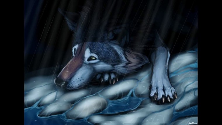 Грустный волк