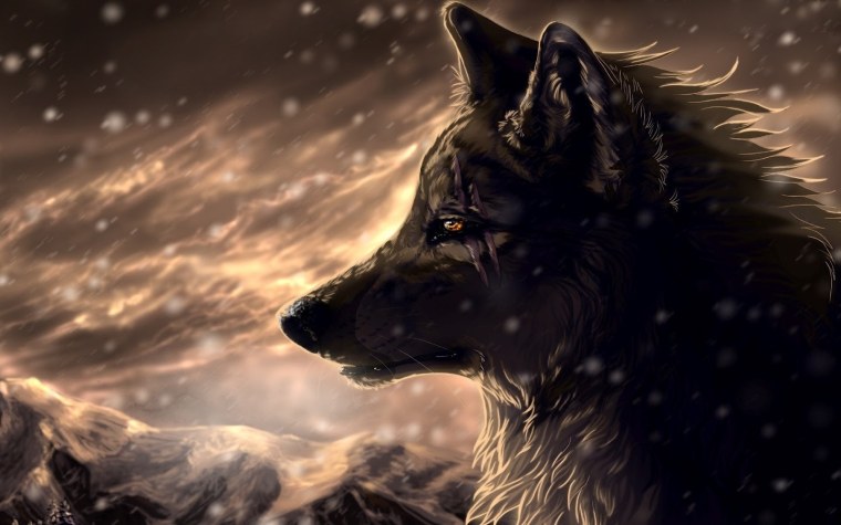 Волк Art Black background