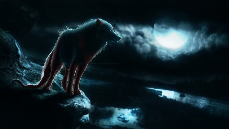 Волк одиночка