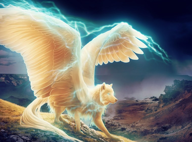 Волшебные волки с крыльями