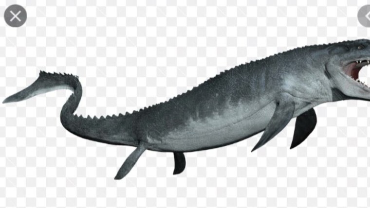 Мозазавр мир Юрского периода