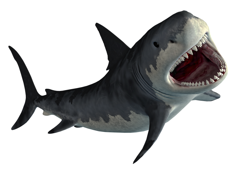 Акула МЕГАЛОДОН