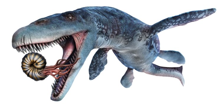 Мозазавр динозавр