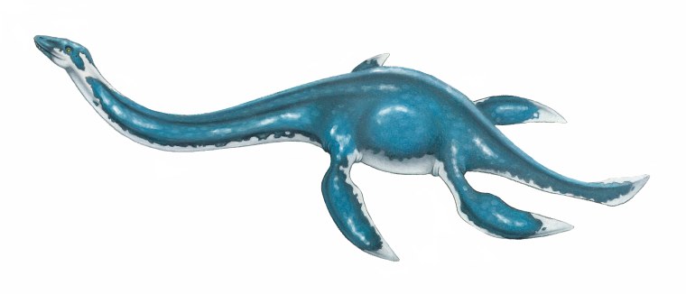 Лохнесское чудовище