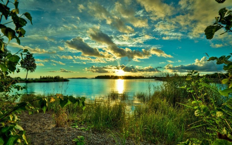 Летний пейзаж