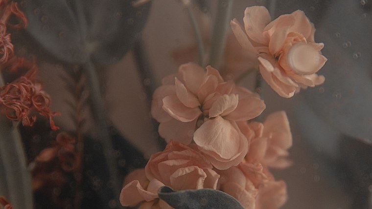 Природа в светлых тонах