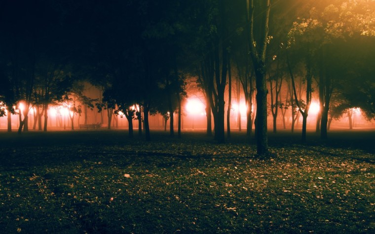 Вечерний парк