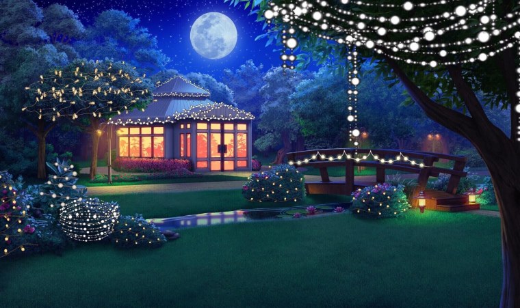 Красивый сад ночью