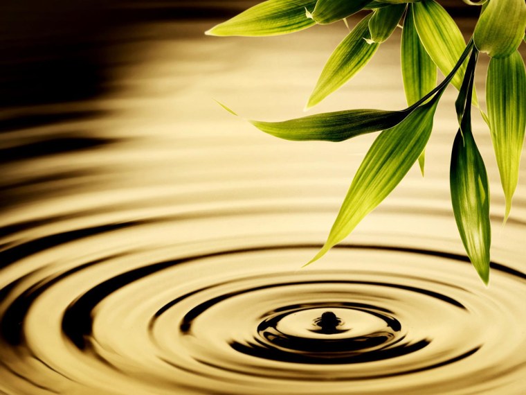 Бамбук в воде