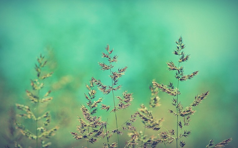 Успокаивающий фон