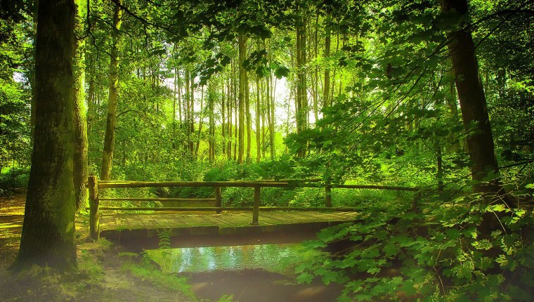 Релаксация природа