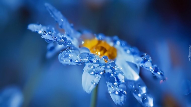 Рисунки для рабочего стола на весь экран успокаивающие