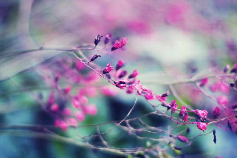 Размытый пейзаж