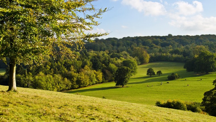 Лето природа