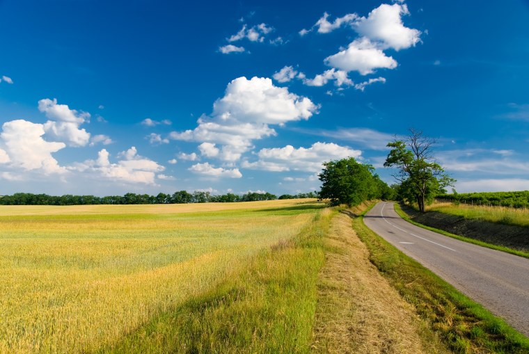 Дорога в поле