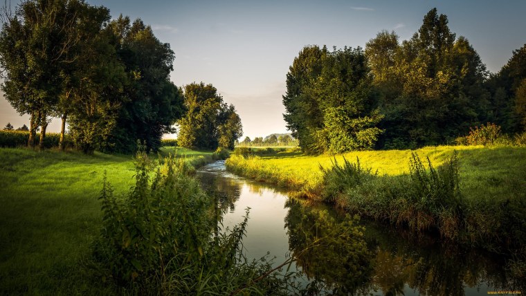 Лес поле река