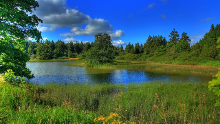 Гессен природа