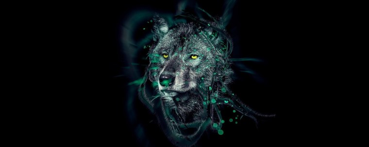 Волк на зеленом фоне