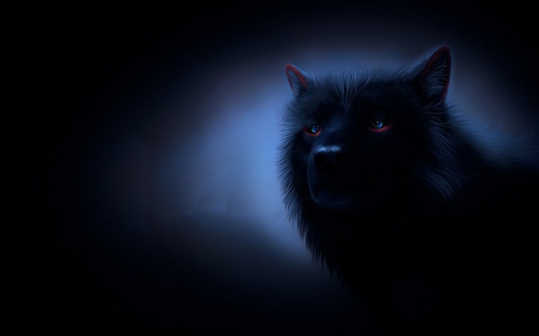Черный волк