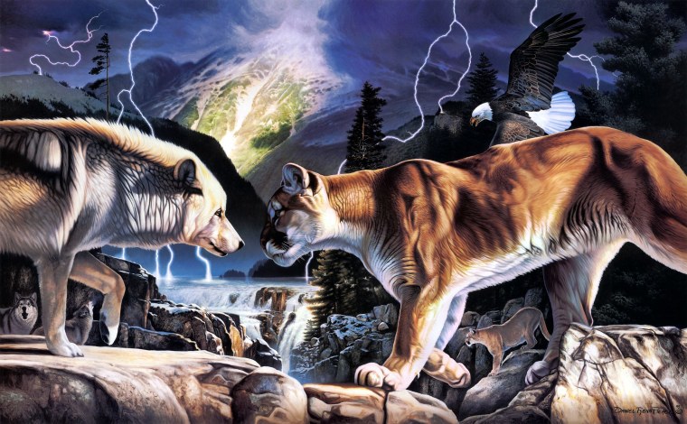 Животные на черном фоне обои