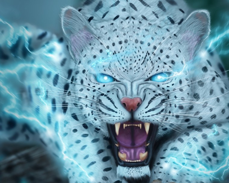 Гепард с голубыми глазами