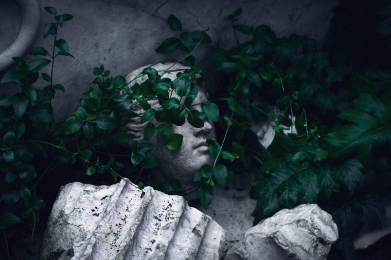 Эстетика зеленого