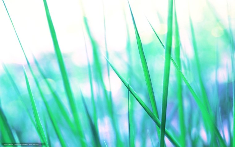 Зелено голубой фон