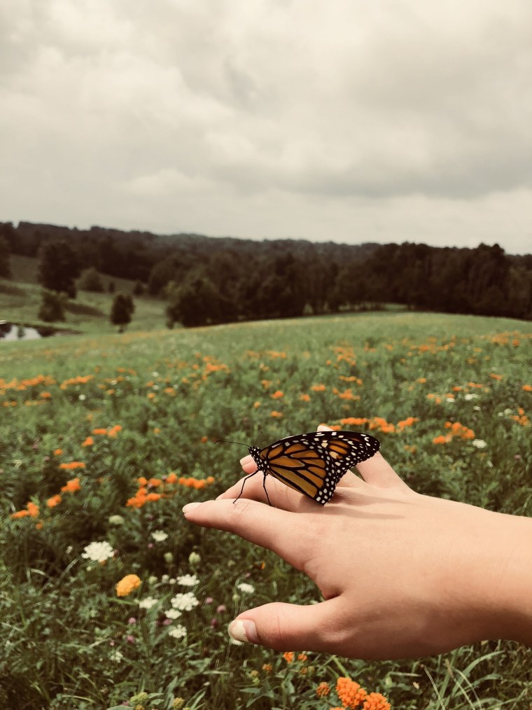 Эстетика лета