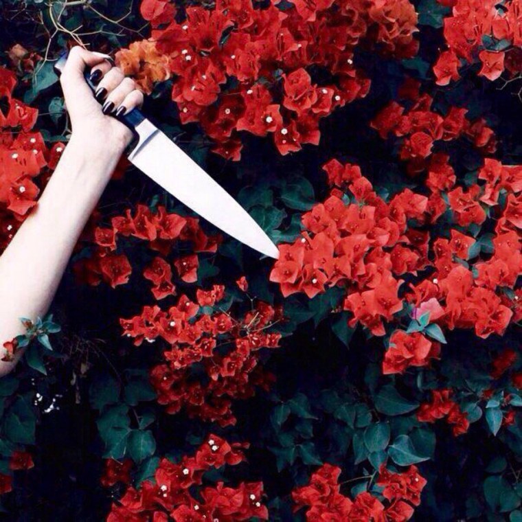 Закат сетка Эстетика