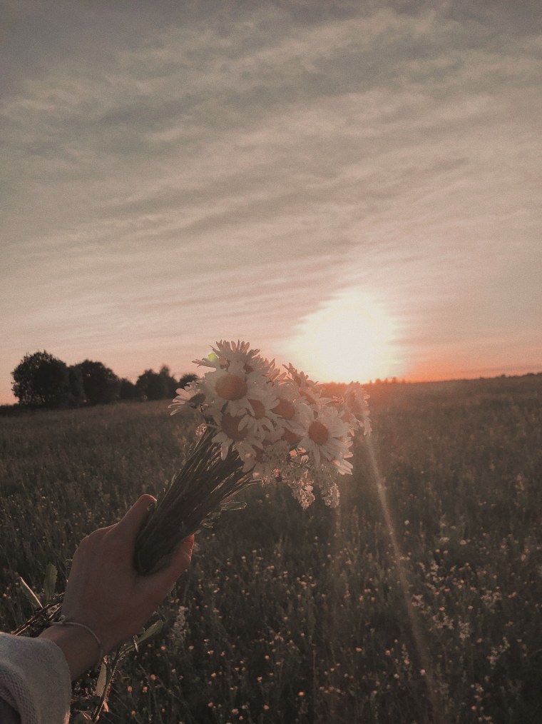 Эстетика природы лето