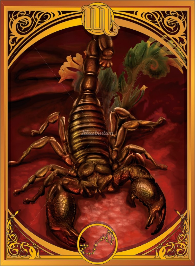 Знак зодиака Скорпион