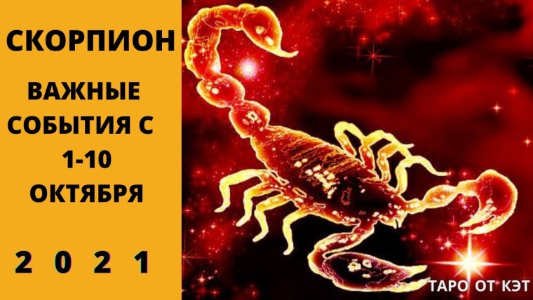 Красивый Скорпион