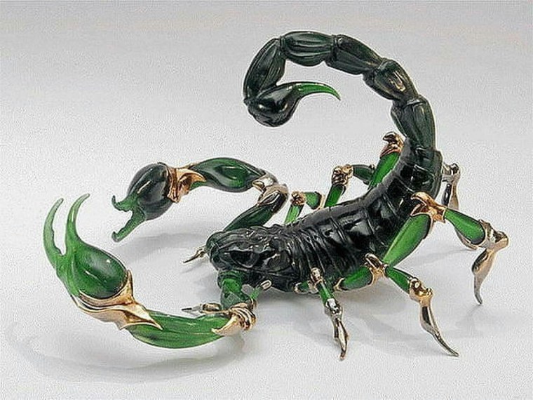 Красивый Скорпион