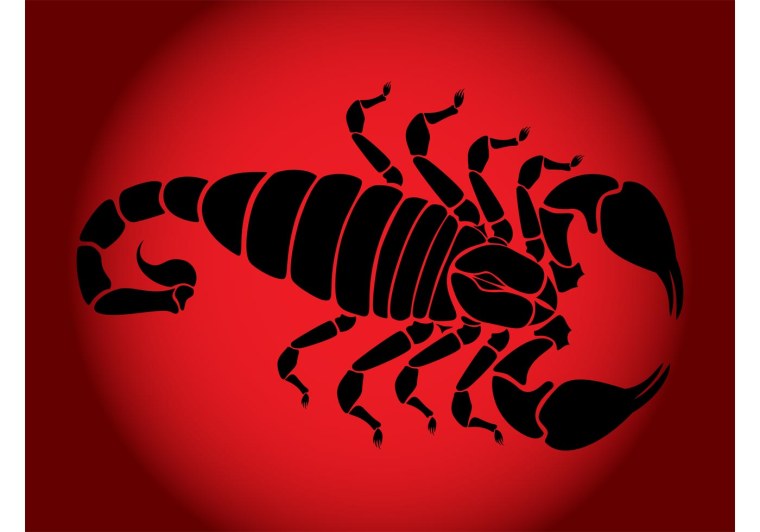 2023 Для скорпиона