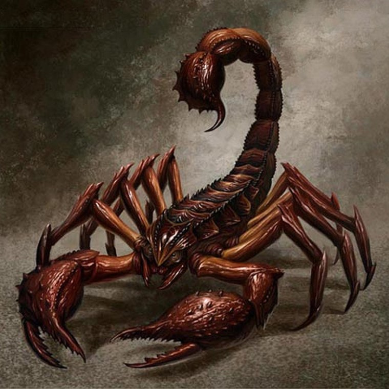 Гигантский Скорпион ДНД