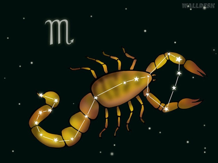 Живопись с изображением скорпиона