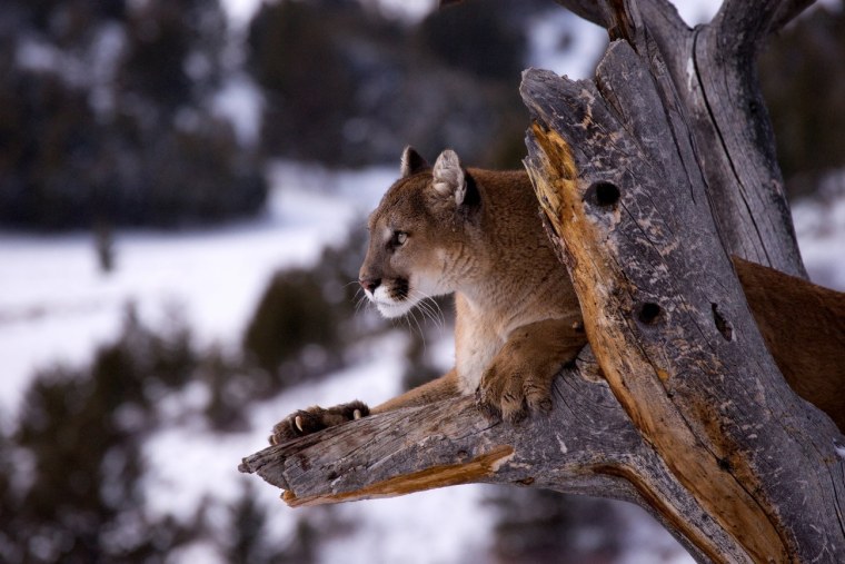 Джонатан Гриффитс фотограф