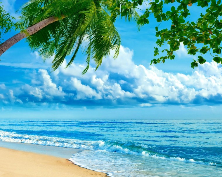 Пляж с пальмами