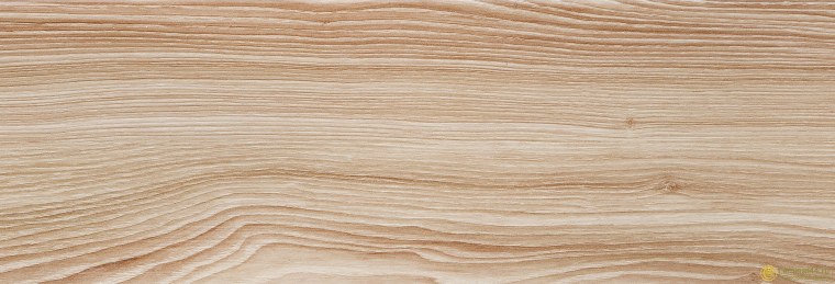 Лиственница структура древесины