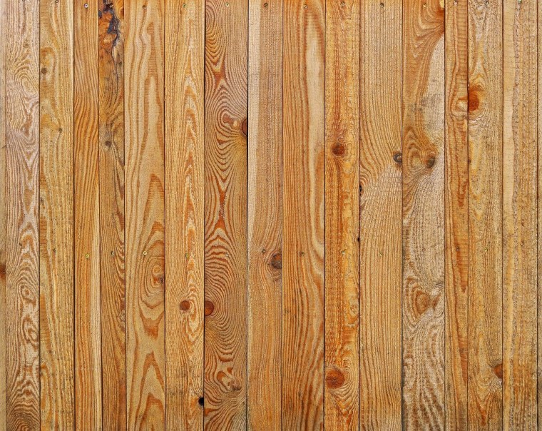 Текстура дерева