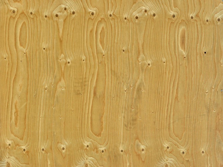 Сосна текстура