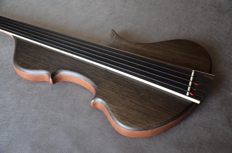 Fretless Bass Stradi 5 String
