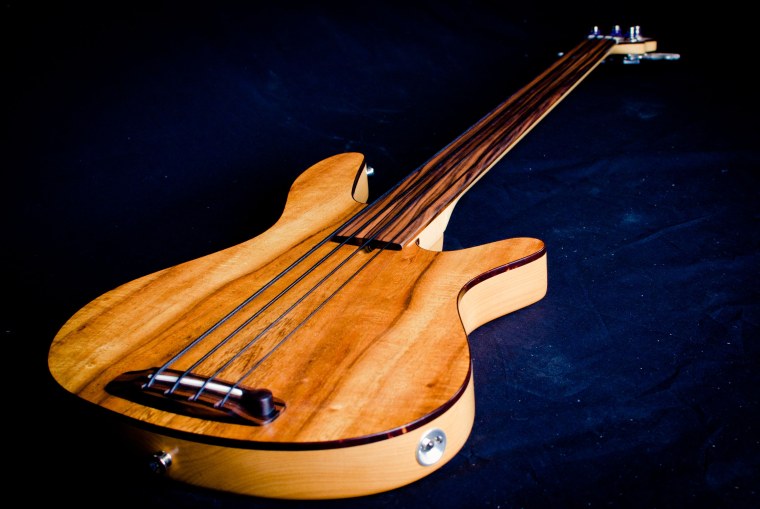 Fretless Bass Guitar