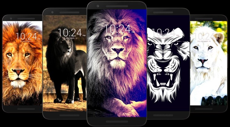 Iphone 6s Gold vs Grey