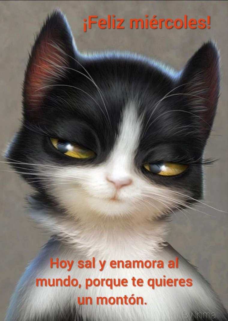 Кошка на аву