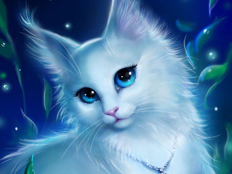 Волшебные кошки