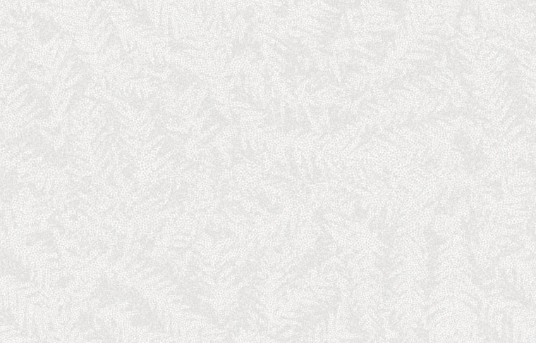 Декоративная краска Decorazza Lucetezza Argento