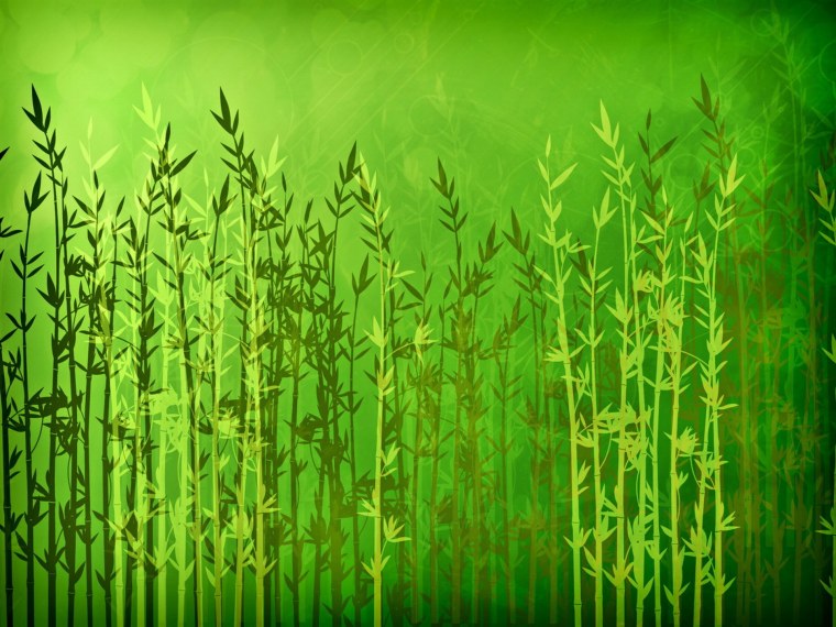 Растительный фон