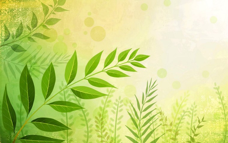 Растительный фон для презентации