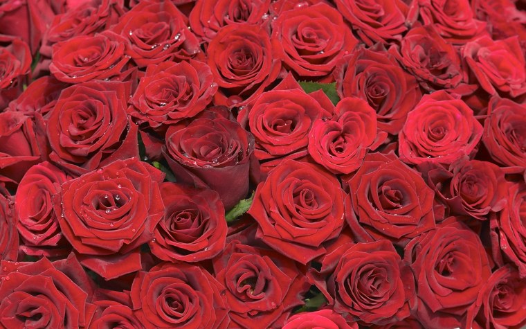 Красные розы